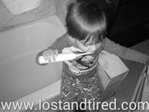 IMG_20120116_083225_wm.jpg image