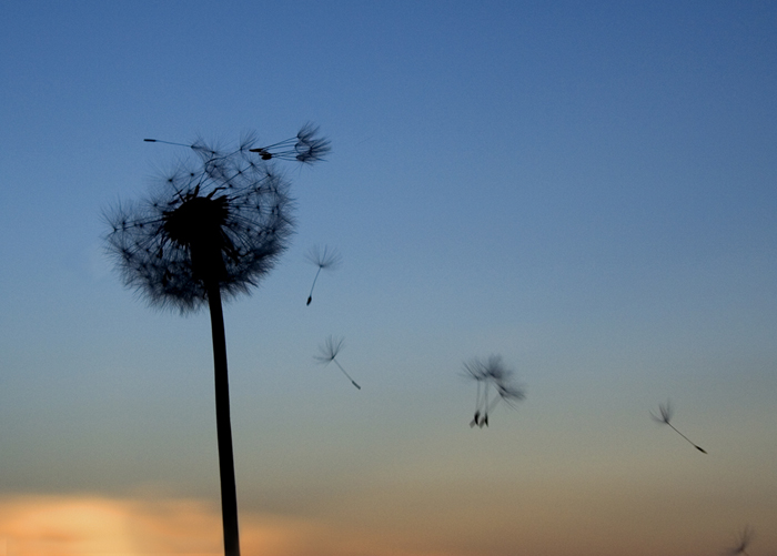 Read more about the article Do you ever miss your life before #Autism?