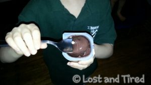 Read more about the article #Autism, #Depression and Medication: Pudding Success