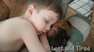 Read more about the article #Autism, a boy and his dog