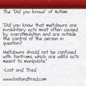 Read more about the article The “Did you knows” of #Autism: Meltdowns vs Tantrums