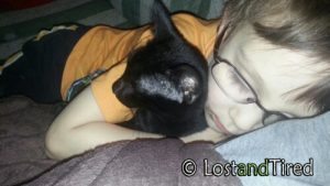 Read more about the article The Lighter Side of #Autism: Snuggle Buddies