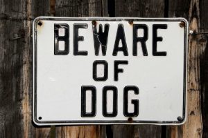 Read more about the article Second dog attack this week in our neighborhood