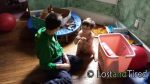 Today’s #Autism Victory: Playing together