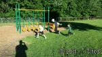 A little bit of fun