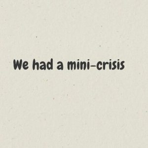 Read more about the article We had a mini-crisis