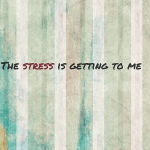 Read more about the article The stress is getting to me