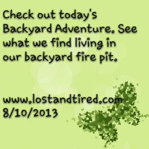 Read more about the article Today’s Backyard Adventure: What’s hiding in our fire pit?