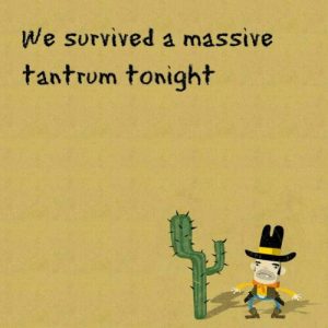 Read more about the article We survived a massive tantrum tonight