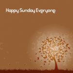 Happy Sunday Everyone