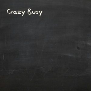 Read more about the article Crazy Busy