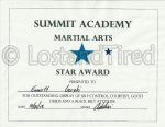 Look who won another Blue Star award for Martial Arts