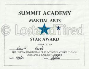 Read more about the article Look who won another Blue Star award for Martial Arts