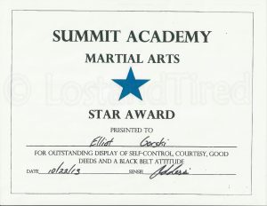 Read more about the article Elliott earned another Blue Star in Martial Arts