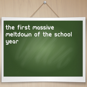 Read more about the article The first massive meltdown of the school year
