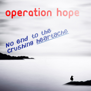 Read more about the article Operation Hope: No end to the crushing heartache