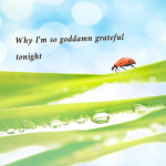 Want to know why I’m so goddamn grateful tonight?