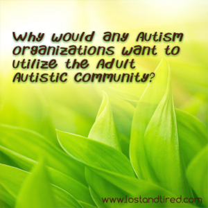 Read more about the article Why would any #Autism organization want to utilize the Adult Autistic community?