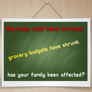 Read more about the article How are you going to survive the recent #SNAP cuts?