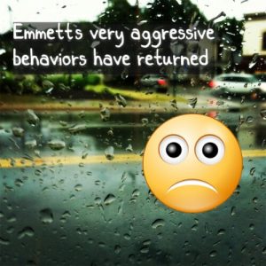 Read more about the article Emmett’s very aggressive behaviors have returned