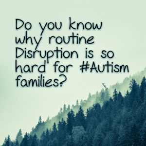 Read more about the article Do you know why disrupting routine is so hard for #Autism families?