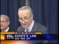 Read more about the article Schumer Proposes ‘Avonte’s Law’