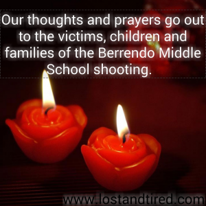 Read more about the article Urgent: Please Pray for the victims of today’s school shooting