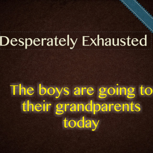 Read more about the article Desperately Exhausted – The boys are going to their grandparents