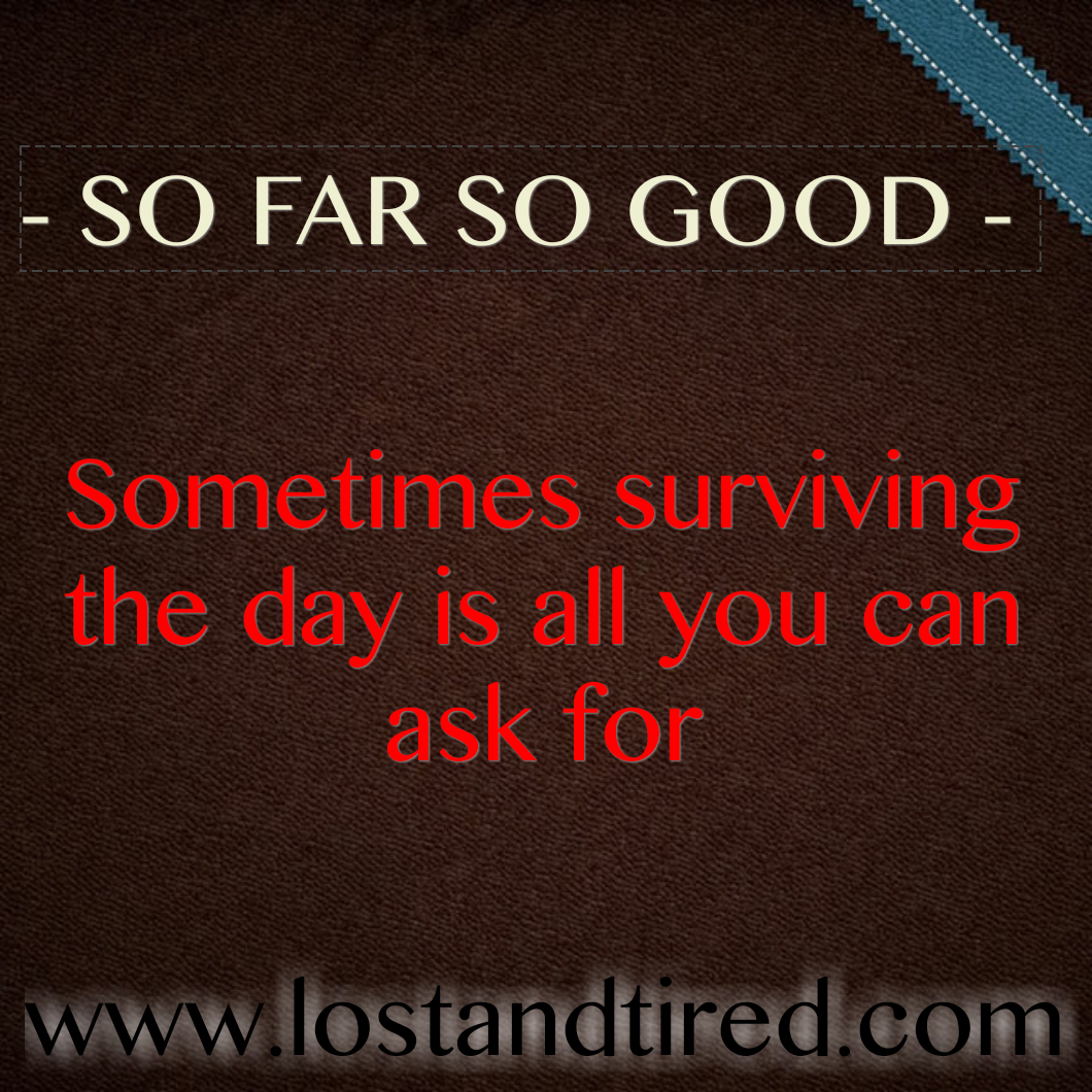 Read more about the article SO FAR SO GOOD – Today’s been survivable so far
