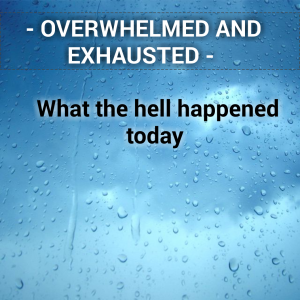 Read more about the article OVERWHELMED AND EXHAUSTED – My day was good, bad and ugly
