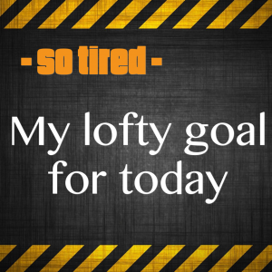 Read more about the article SO TIRED – My lofty goal for today