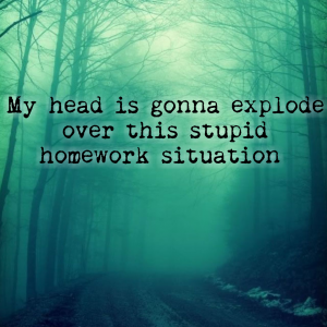 Read more about the article JUST KILL ME NOW – Gavin and the homework saga