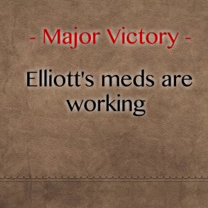 Read more about the article Major Victory – Elliott’s meds are working :-)
