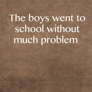 Read more about the article The boys went to school without much problem