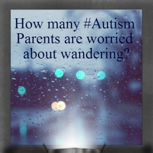 Read more about the article How many #Autism Parents are worried about wandering?
