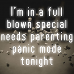 I’m in a full blown special needs parenting panic mode