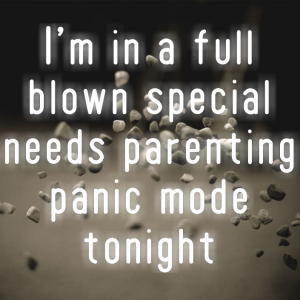 Read more about the article I’m in a full blown special needs parenting panic mode