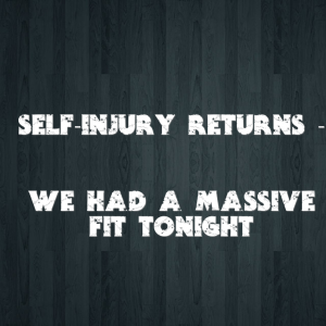 Read more about the article Self-injury returns – We had a massive fit tonight