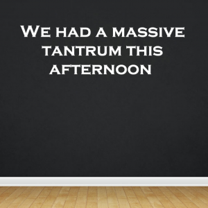 Read more about the article We had a massive tantrum this afternoon