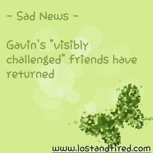 Read more about the article Sad News – Gavin’s “visibly challenged” friends have returned