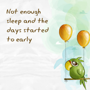 Read more about the article Not enough sleep and the days started to early