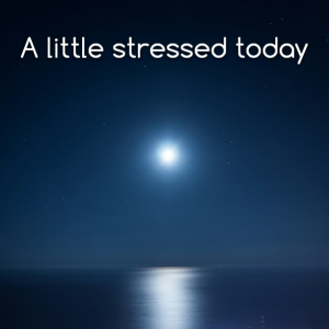 Read more about the article A little stressed today