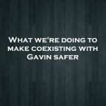 What we’re doing to make coexisting with Gavin safer