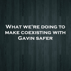 Read more about the article What we’re doing to make coexisting with Gavin safer