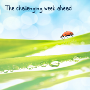 Read more about the article The challenging week ahead