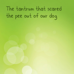 The tantrum that scared the pee out of our dog