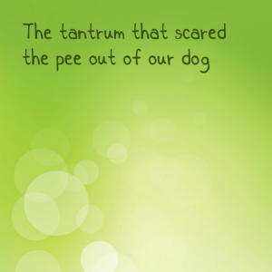 Read more about the article The tantrum that scared the pee out of our dog