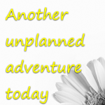 Another unplanned adventure today