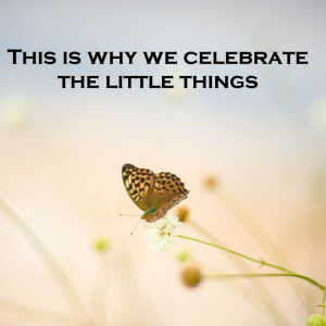 Read more about the article This is why we celebrate the little things