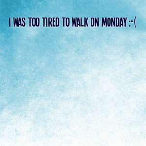 Read more about the article I was too tired to walk on Monday :-(